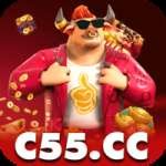 c55 Casino Elite v5.8.2